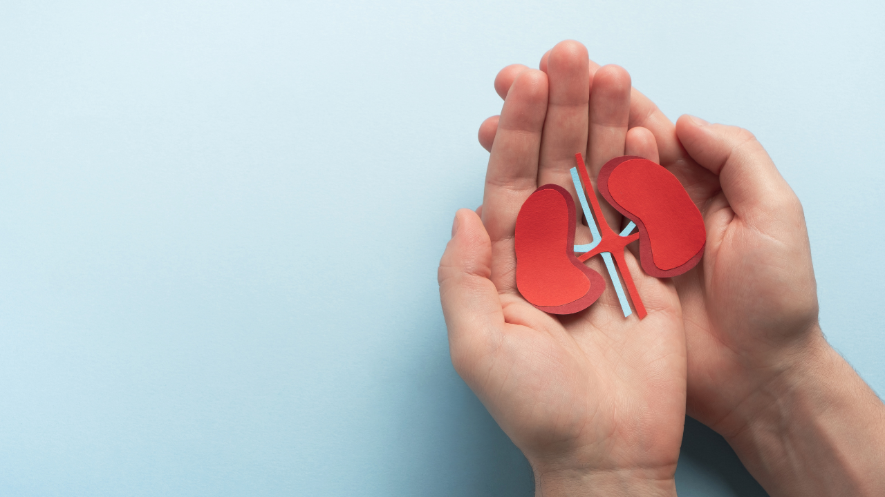 Life After Kidney Transplant