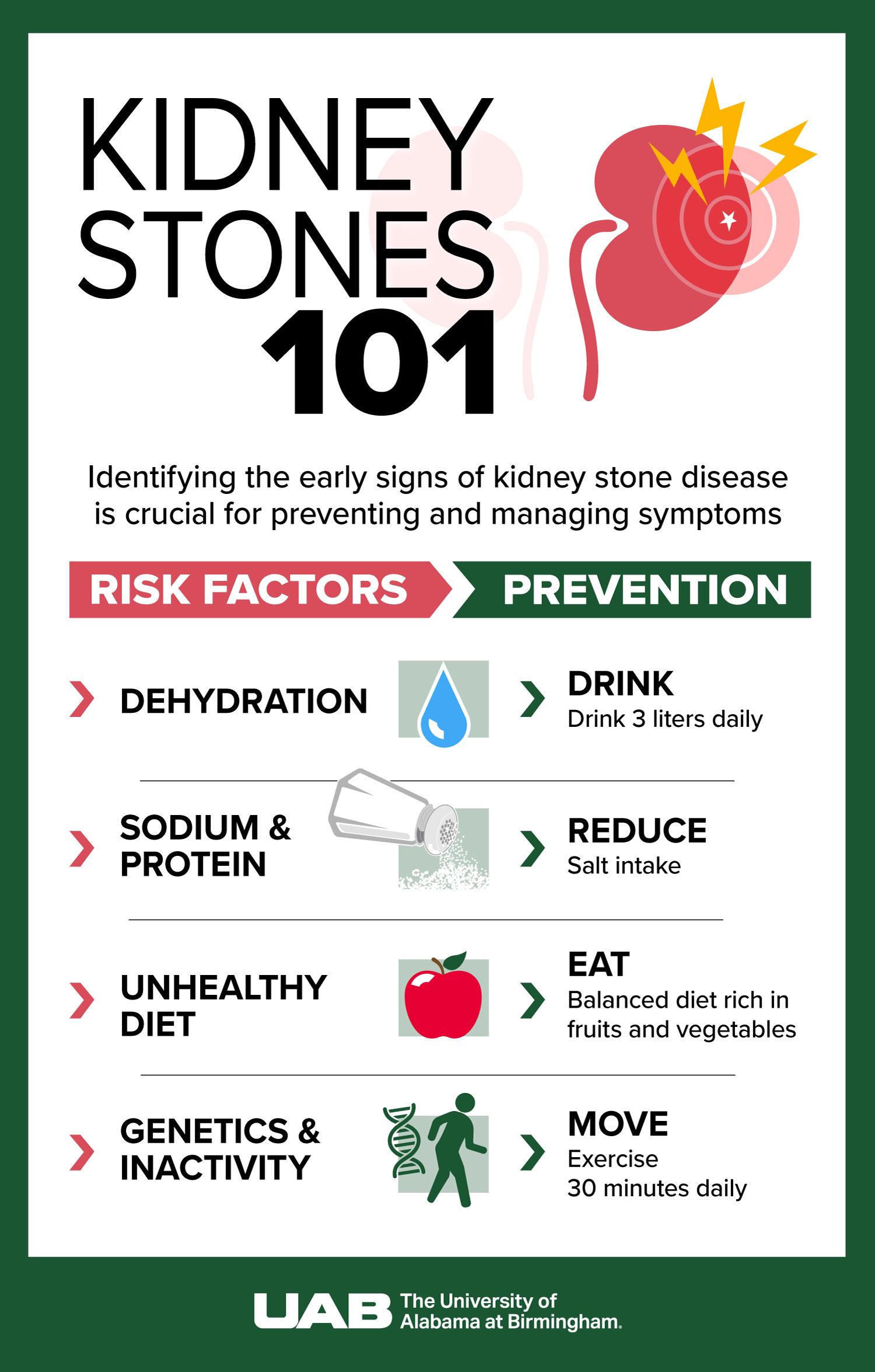 Kidney Stones 101 — Risk Factors & Prevention