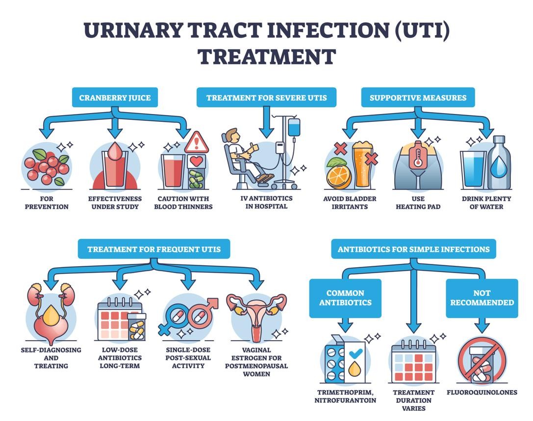 UTI Bacteria in Bladder Illustration